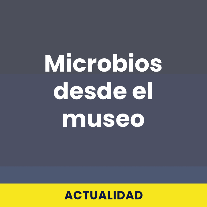 Microbios desde el museo