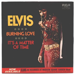 Burning love