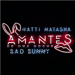 Amantes de una noche
