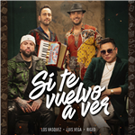 Si te vuelvo a ver
