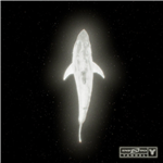 Cómo es que se hace