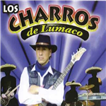 Como dejar de amarte
