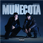 Muñecota