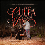 Por culpa de ese vino