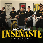 No me enseñaste