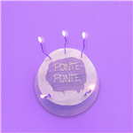 Ponte ponte