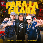 Para la gilada
