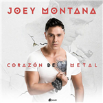 Corazón de metal