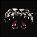 Carátula de: Dead Company