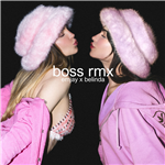 Carátula de: Boss rmx