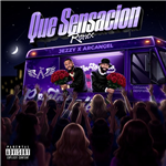 Carátula de: Que sensación