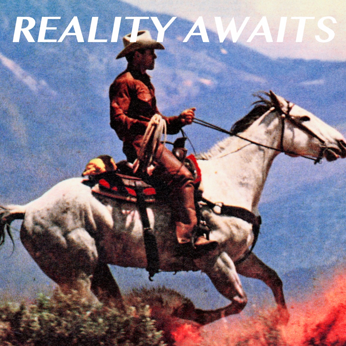 Carátula de: Reality awaits