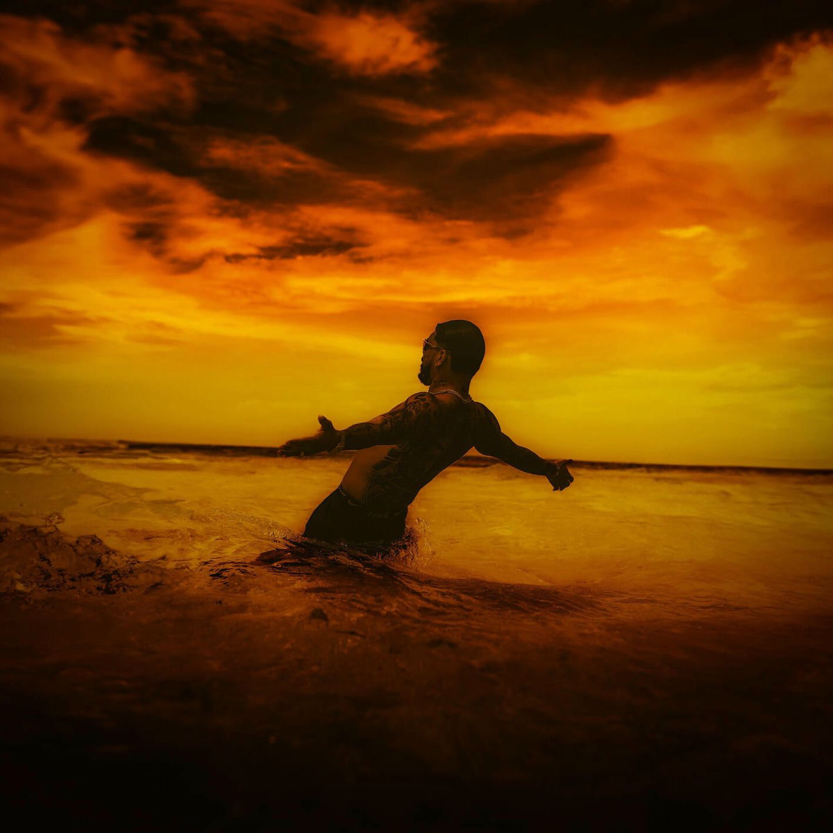 Carátula de: Hopi sendé