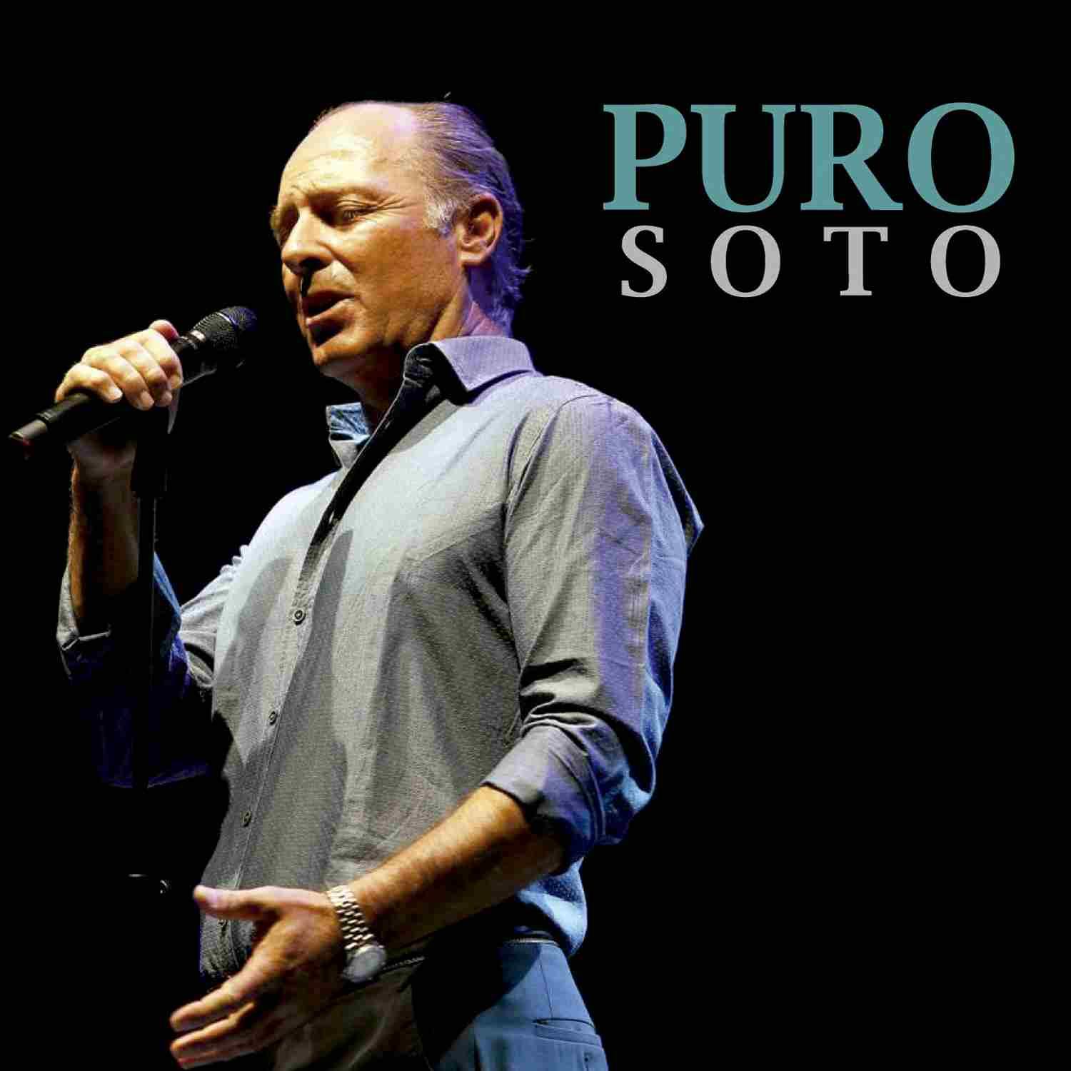 Puro Soto
