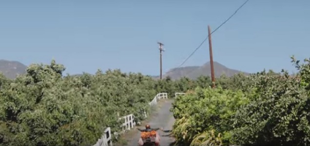 Videoclip: Juice