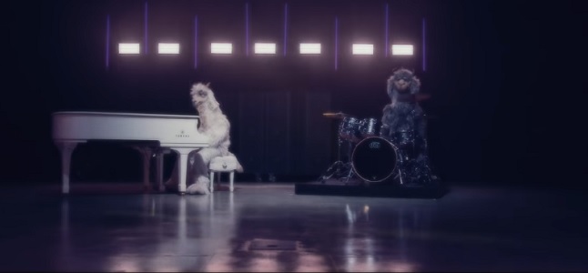 Videoclip: Bishops knife trick