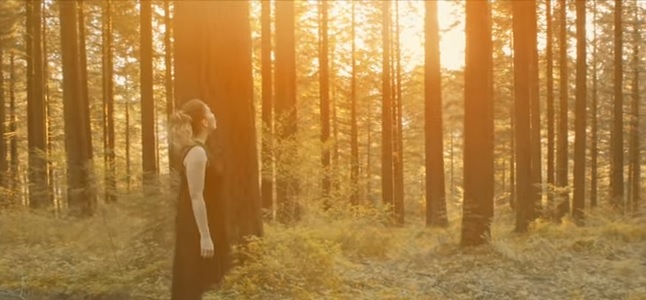 Videoclip: Esa chica