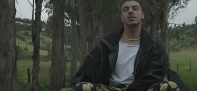 Videoclip: Buena