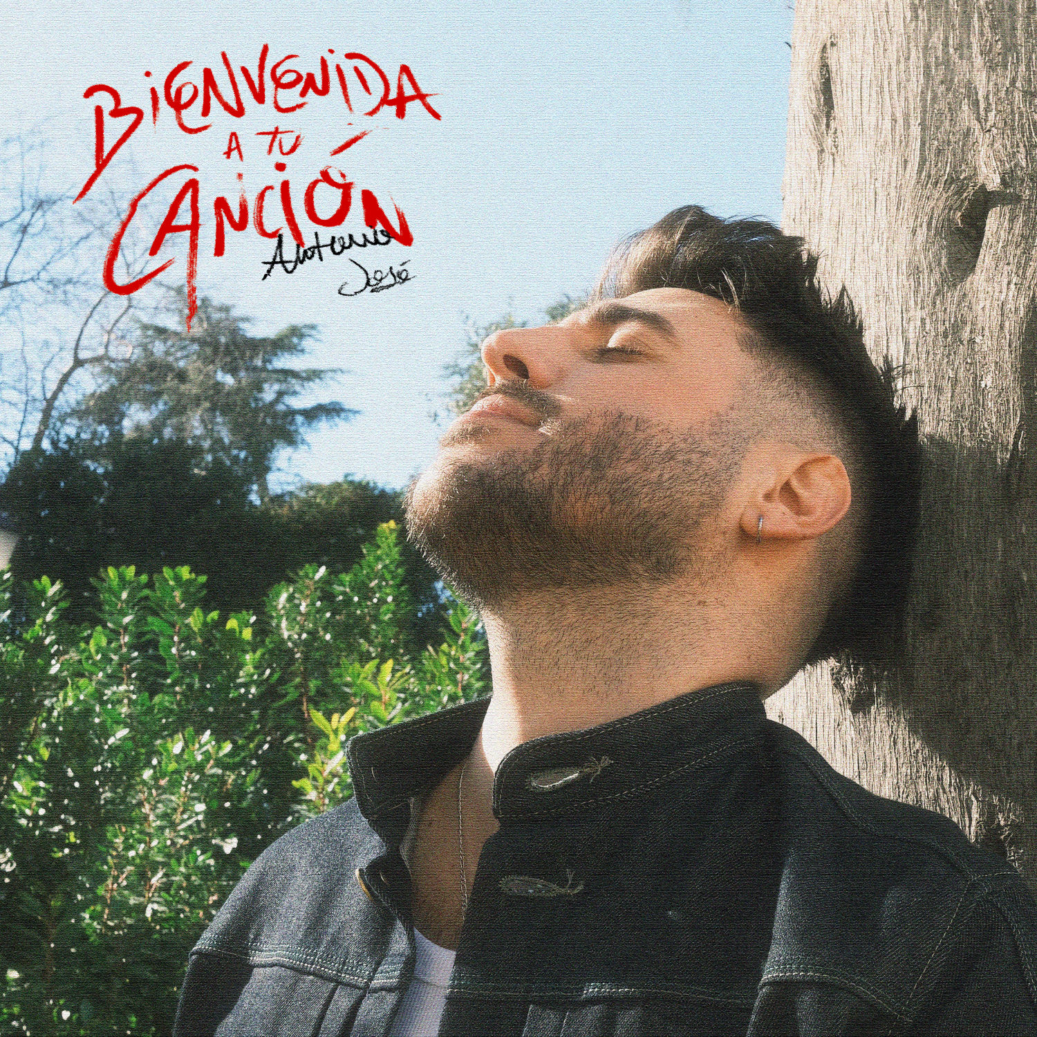 Bienvenida a tu canción