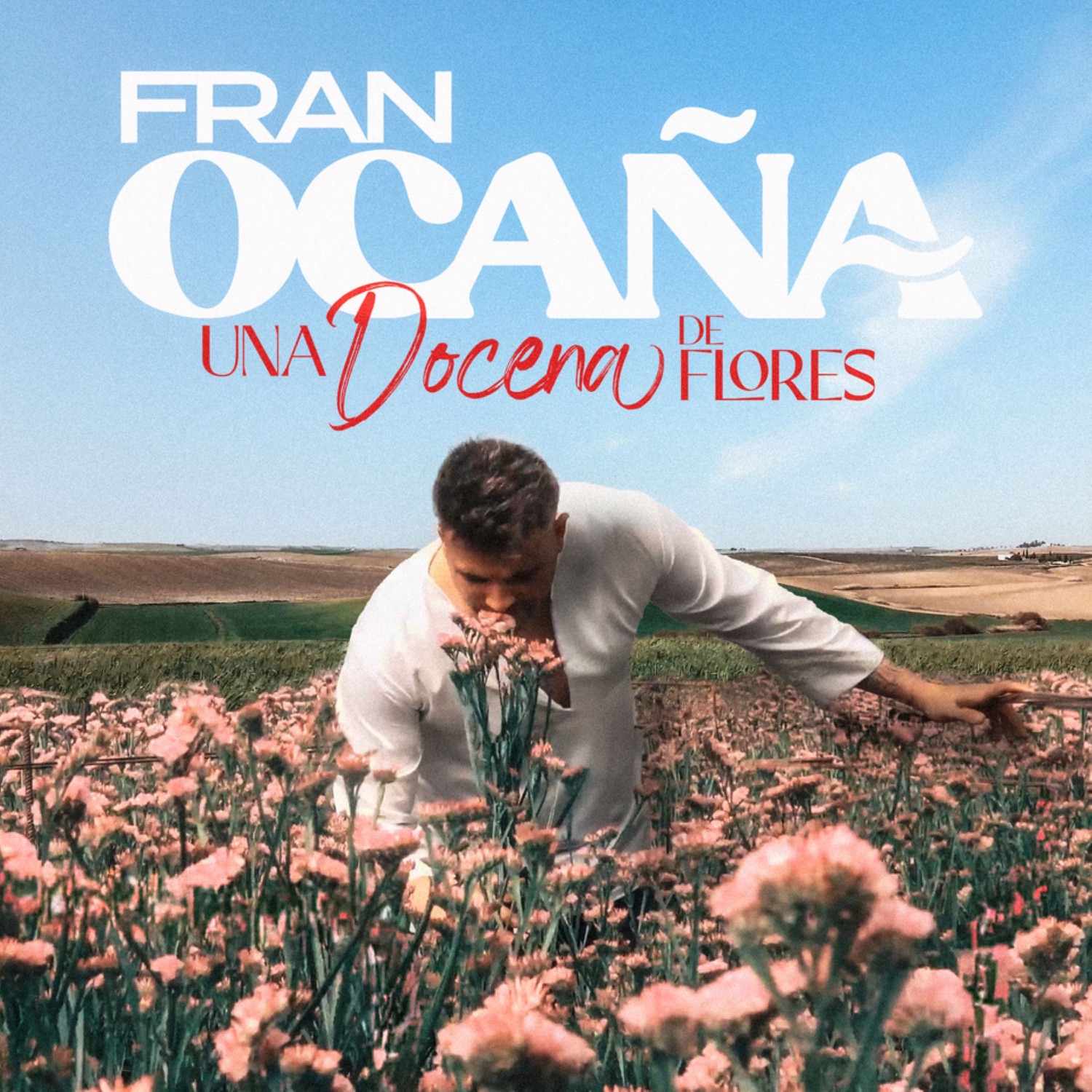 Una docena de flores